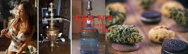 PSILOCYBIN Бородино