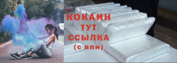 PSILOCYBIN Бородино