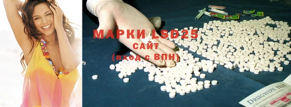 PSILOCYBIN Бородино