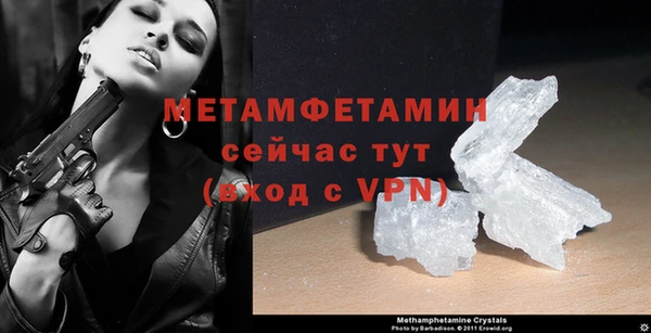 PSILOCYBIN Бородино
