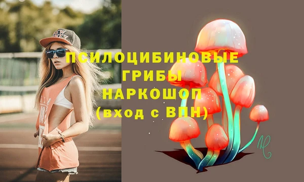 а пвп мука Бугульма